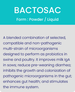 bactosa