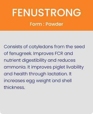 fenustrong