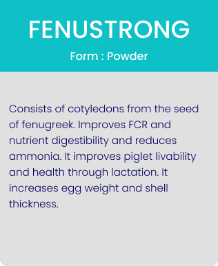 fenustrong