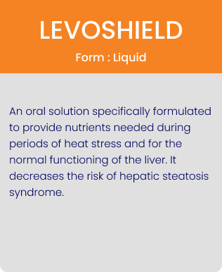 levoshield