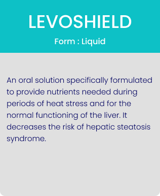 levoshield